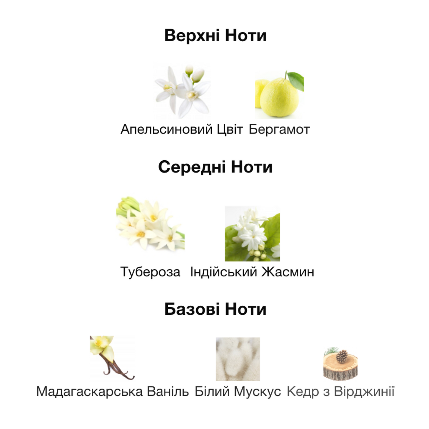 Парфум жіночий Morale Parfums My Way To Shine (май вей ту шайн) 30 мл